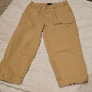 Banana Republic Women's Tan Wide Leg Pants